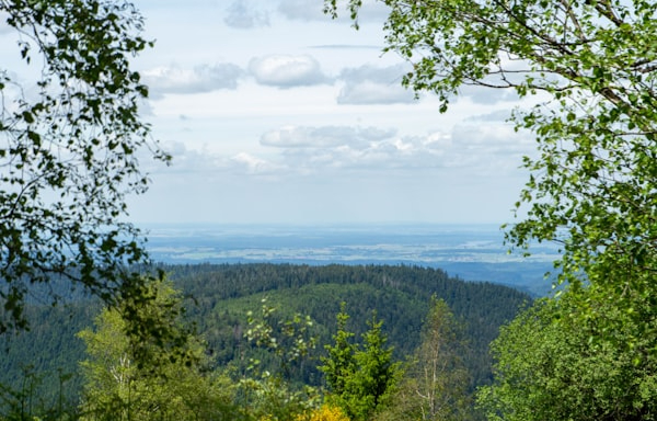 Umgebung